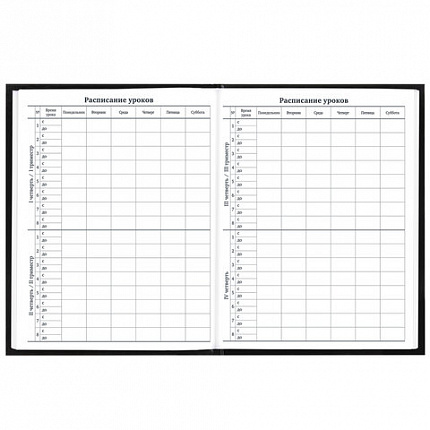 Дневник 1-11 класс 40 л., твердый, BRAUBERG, матовая ламинация, "Футбол", 107173