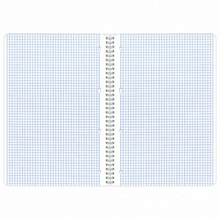 Тетрадь А4, 96 л., BRAUBERG, гребень, клетка, обложка картон, "Calm", 404059