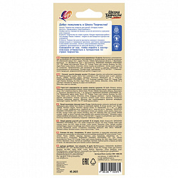 Карандаши цветные ЛУЧ "Школа Творчества", 12 цветов, трёхгранные, натуральное дерево, 30С 1806-08