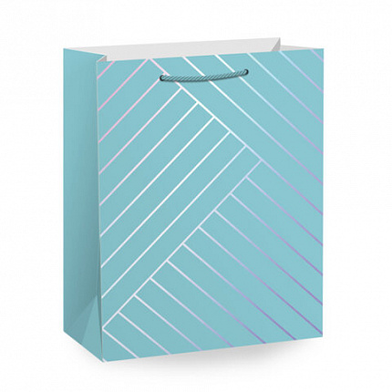 Пакет подарочный (1 штука) 18х10х23см (M) "Leather Bag", ассорти, с тиснением, ЗОЛОТАЯ СКАЗКА, 700811