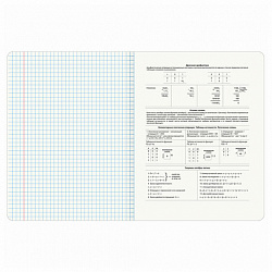 Тетрадь предметная "ELEGANCE" 48 л., SoftTouch, фольга, ИНФОРМАТИКА, клетка, BRAUBERG, 404550
