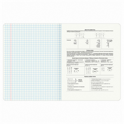 Тетрадь предметная "КОТ-ЭНТУЗИАСТ" 48 л., TWIN-лак, ИНФОРМАТИКА, клетка, подсказ, BRAUBERG, 404562