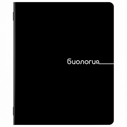 Тетради предметные, КОМПЛЕКТ 12 ПРЕДМЕТОВ, 48 л., обложка картон, BRAUBERG "BLACK", 405164