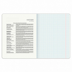 Тетрадь предметная DOG БОБИК 48 л., TWIN-лак, ИСТОРИЯ, клетка, подсказ, BRAUBERG, 404789