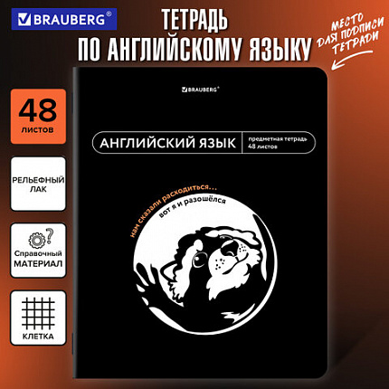 Тетрадь предметная МЕМЫ 48 л., TWIN-лак, АНГЛИЙСКИЙ ЯЗЫК, клетка, подсказ, BRAUBERG, 405098