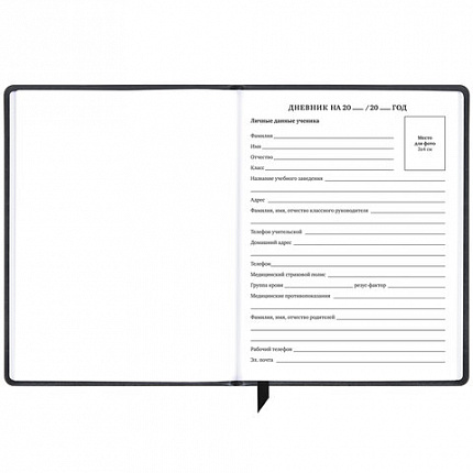 Дневник 1-11 класс 48 л., кожзам (твердая), печать, резинка, конверт, BRAUBERG, "Аниме", 106578