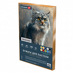 Бумага для пастели АБРАЗИВНАЯ А3 в коробке, 40 листов 10 цветов, 240 г/м2, BRAUBERG ART, 117768
