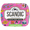 Драже освежающие SCANDIC без сахара со вкусом "Тропический микс", 14 г.