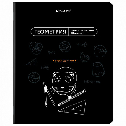 Тетради предметные, КОМПЛЕКТ 12 ПРЕДМЕТОВ, 48 л., TWIN лак, BRAUBERG "МЕМЫ", 405172