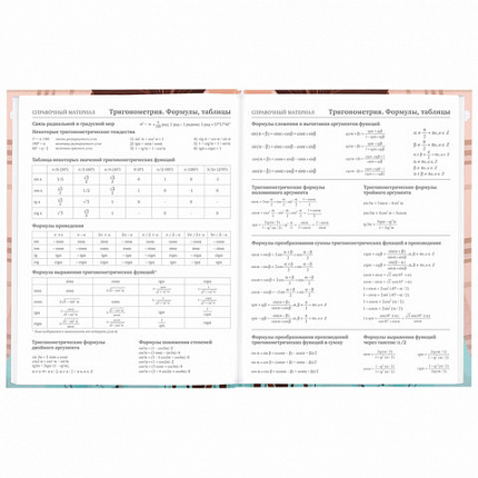 Дневник 5-11 класс 48 л., твердый, BRAUBERG, глянцевая ламинация, с подсказом, "Summer girl", 106882