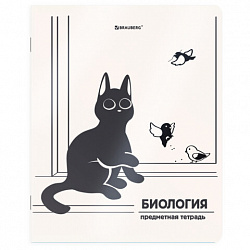Тетради предметные, КОМПЛЕКТ 12 ПРЕДМЕТОВ 48 л., пластиковая обложка, BRAUBERG "КОТ-НЕПОСЕДА", 405542