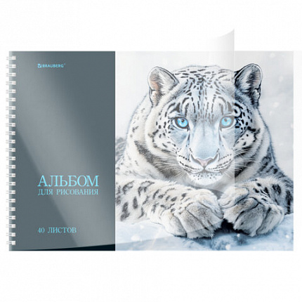 Альбом для рисования, пластиковая обложка, А4 40л., гребень, BRAUBERG, 210х297мм, АССОРТИ-1 (8 видов), 107682