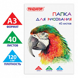 Папка для рисования БОЛЬШОГО ФОРМАТА А3, 40 л., 120 г/м2, ПИФАГОР, 297х420 мм, "Попугай", 129219