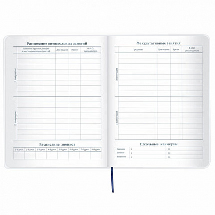 Дневник 1-11 класс 48 л., кожзам (гибкая), термотиснение, фольга, BRAUBERG, "МЕДВЕДЬ", 105969