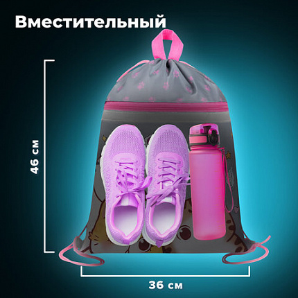 Мешок для обуви BRAUBERG, с петлей, светоотражающая полоса, 2 отделения, 46х36 см, "Дружба котиков", 273449