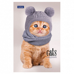 Блокнот МАЛЫЙ ФОРМАТ А6, 40 л., склейка, мелованная бумага, клетка, глянцевая ламинация, HATBER, "Кототерапия", 057230, 40Б6лA1к