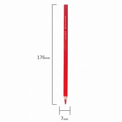 Карандаши цветные пластиковые, BRAUBERG PREMIUM 24 цвета + 2 чернографитных карандаша, 181937