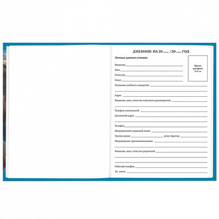 Дневник 1-11 класс 40 л., твердый, BRAUBERG, глянцевая ламинация, "Девушка с драконом", 107167