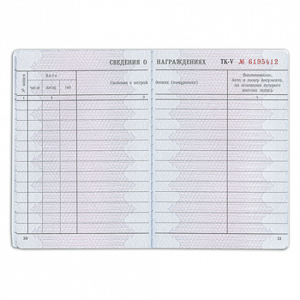 Бланк документа "Трудовая книжка", 88х125 мм, ГОЗНАК