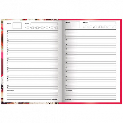 Ежедневник учителя специализированный А5 (215х145 мм), твердая обложка, 144 л., BRAUBERG, "АКСЕССУАРЫ", 129232