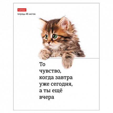 Тетрадь А5 48 л., HATBER скоба, клетка, обложка картон, "Котоюмор" (микс в спайке), 079790, 48Т5В1