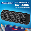 Пенал-косметичка BRAUBERG, "Клетка", черный, 20х7х7см, 272298