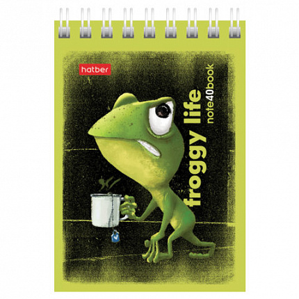 Блокнот МАЛЫЙ ФОРМАТ А7, 40 л., гребень, картон, клетка, HATBER, "Лягух Кир", 081184, 40Б7В1гр
