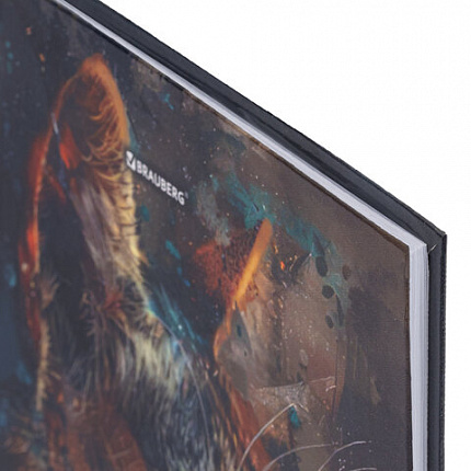 Дневник 5-11 класс 48 л., гибкая обложка, BRAUBERG, глянцевая ламинация, с подсказом, "Cat", 107181