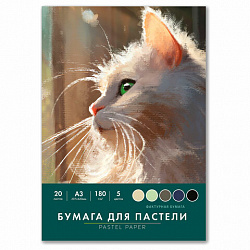 Бумага для пастели БОЛЬШАЯ А3 в папке, 20 листов, 5 цветов, 180 г/м2, BRAUBERG ART CLASSIC, 116346