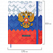 Дневник 1-11 класс 48 л., твердый, BRAUBERG, матовая ламинация, резинка, закладка-ляссе, с подсказом, "Герб", 107238