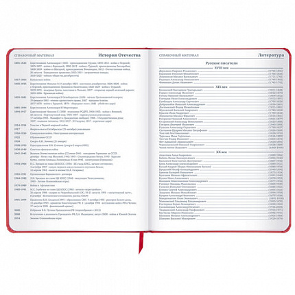 Дневник 1-11 класс 48 л., кожзам (твердая), шелкография, BRAUBERG, "Anime", 106225