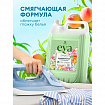 Кондиционер-ополаскиватель для белья, концентрат, гипоаллергенный, 5 л, GRASS EVA "Fruit fusion", 125915