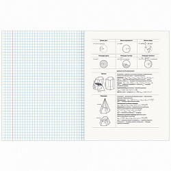 Тетрадь предметная "ПРИРОДА" 48 л., обложка картон, ГЕОМЕТРИЯ, клетка, подсказ, BRAUBERG, 404775