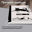 Тетрадь А5 96 л. BRAUBERG, на сшивке с корешком, клетка, обложка картон, "Кот-Непоседа", 405292