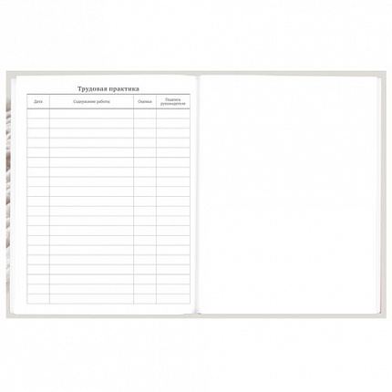 Дневник 5-11 класс 48 л., твердый, BRAUBERG, глянцевая ламинация, с подсказом, "Котик", 107188