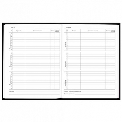 Дневник 5-11 класс 48 л., твердый, BRAUBERG, выборочный лак, с подсказом, "Dragon", 107195