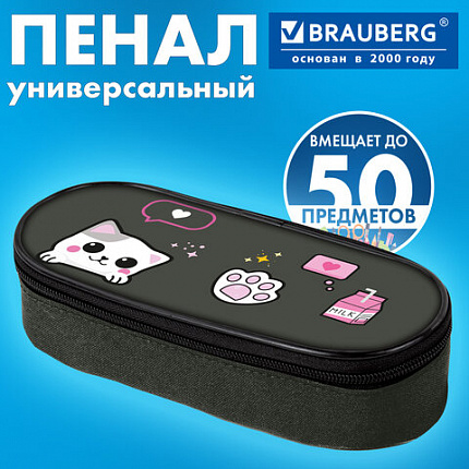 Пенал-футляр BRAUBERG, 1 отделение, органайзер, полиэстер, 22x9х5 см, "Кошачья жизнь", 274585