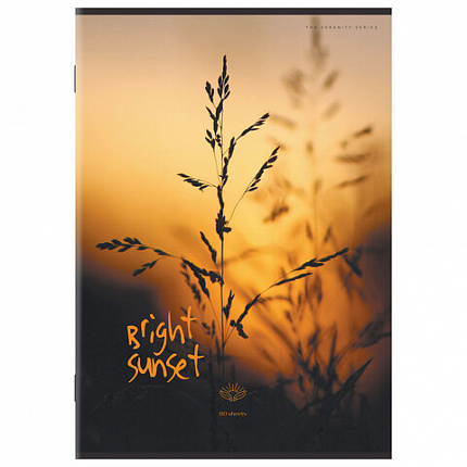 Тетрадь А4 80 л. STAFF College скоба, клетка, офсет №2 ЭКОНОМ, обложка картон, ПРИРОДА, 405617