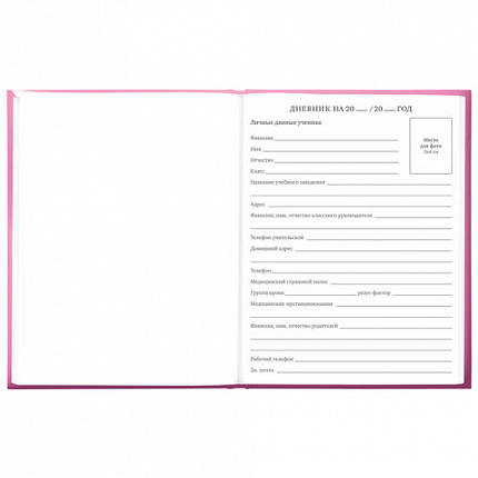 Дневник 5-11 класс 48 л., твердый, BRAUBERG, выборочный лак, с подсказом, "Brings Joy", 107194