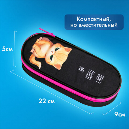 Пенал-футляр BRAUBERG, 1 отделение, органайзер, полиэстер, 22x9х5 см, "Angry kitty", 273566