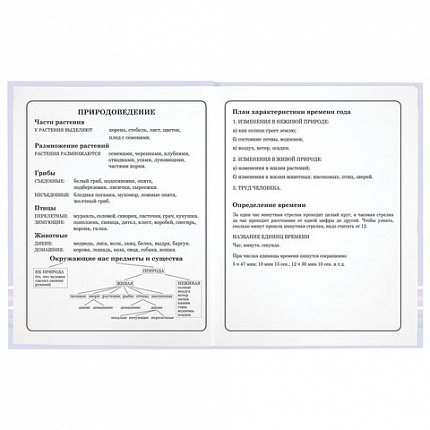 Дневник 1-4 класс 48 л., твердый, ЮНЛАНДИЯ, глянцевая ламинация, с подсказом, "Совушка", 106594