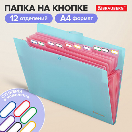 Папка-органайзер на кнопке 12 отделений, BRAUBERG "Extra", А4, голубая с розовым, 271932