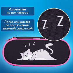 Пенал-футляр BRAUBERG, 1 отделение, органайзер, полиэстер, 22x9х5 см, "Don't wake up", 272311