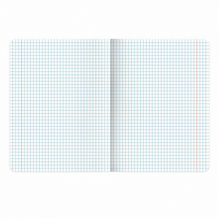 Тетрадь предметная "КОТ-ЭНТУЗИАСТ" 48 л., TWIN-лак, ГЕОГРАФИЯ, клетка, подсказ, BRAUBERG, 404560