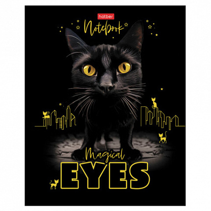 Тетрадь А5 48 л., HATBER скоба, клетка, матовая ламинация, 3D-лак, "Волшебные глаза" (микс), 088313, 48Т5лолВ1