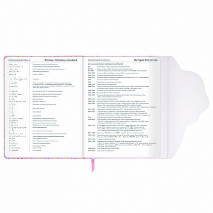 Дневник 1-11 класс 48 л., кожзам (твердая), магнитный клапан, ЮНЛАНДИЯ, "Мороженка", 106184