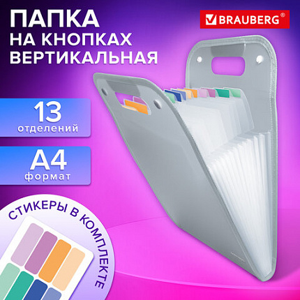 Папка-органайзер на кнопках 13 отделений, ВЕРТИКАЛЬНАЯ, BRAUBERG COMPLETE, А4, прозрачно-матовая, 273943