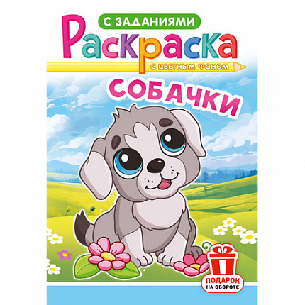 Раскраска с заданиями "Для мальчиков и девочек" с цветным фоном, А5, 16 стр., 16,2х23,4 см, АССОРТИ, ЛиС