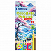 Карандаши цветные "АССОРТИ 8 ДИЗАЙНОВ 7-14 лет", 12 цветов, трехгранные, BRAUBERG, 182056