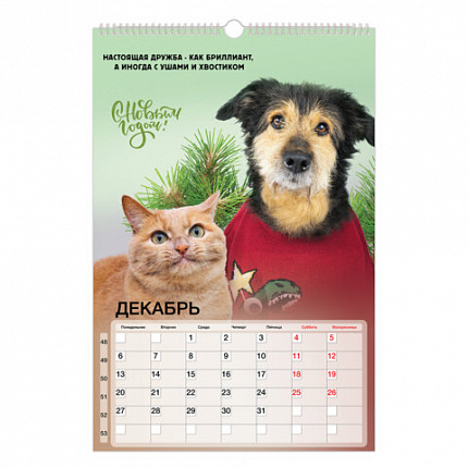 Календарь на гребне с ригелем 2027г, BRAUBERG, 12 листов, 30,0х45,0 см, "Не падай духом", 118385